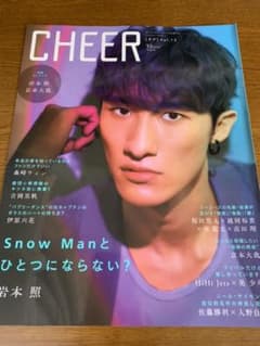 【切り抜き】CHEER Vol.13 岩本照のサムネイル