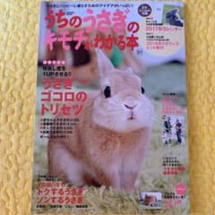 うちのうさぎのキモチがわかる本のサムネイル