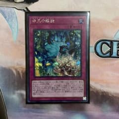 命王の螺旋 ドミナス・スパイラル シークレット 1枚 - メルカリ