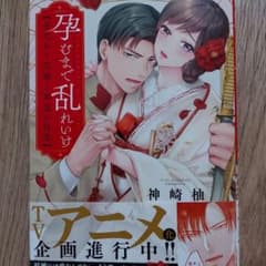 孕むまで乱れいけ～身代わり花嫁と軍服の猛愛のサムネイル