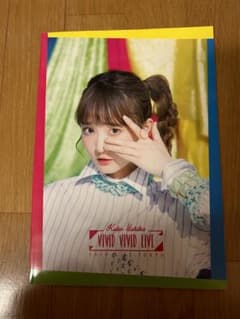 久保ユリカ VIVID VIVID LIVE パンフレットのサムネイル