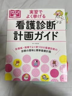 看護診断・計画ガイドのサムネイル