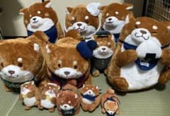 【BIG5体含む】忠犬もちしば おかか ぬいぐるみ 大量まとめ売り 12点セットのサムネイル