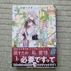 殿下、この求婚はなかったことに 竜族の王子様がなぜか私を溺愛してくるのですが!?