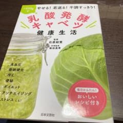 乳酸発酵キャベツ 健康生活 1日50gでやせる!若返る!不調すっきり!