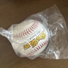 サイン入り硬式野球ボールのサムネイル