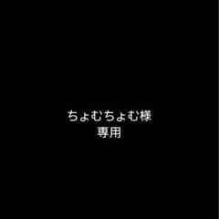 ちょむちょむ様専用のサムネイル