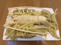 天然素材 伊勢海老 細密彫刻 約30cm 可動式 関節可動