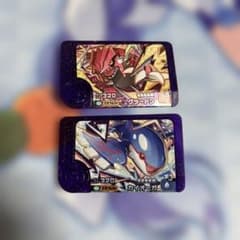 ポケモンフレンダ スーパートレジャー カイオーガ グラードン 2枚