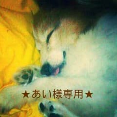 ★メイビリン ドリームホイップ PO1★のサムネイル