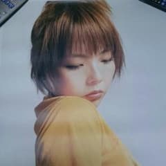 aiko  ポスターのサムネイル