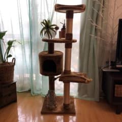 キャットタワー（専用です）のサムネイル