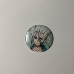 dr.stone mixxgarden 石神千空 マット缶バッジ 8個 千空 Dr.STONE mixx gardenコラボ 石神千空 缶バッジ - メルカリ