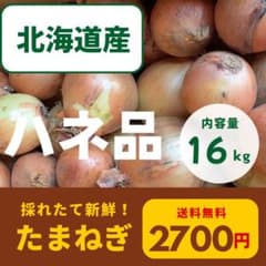 北海道産　玉ねぎ　16キロ　わけあり　規格外　特別価格 - 5