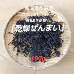 新潟南魚沼産天然乾燥ゼンマイ令和8年新物 100g - メルカリ