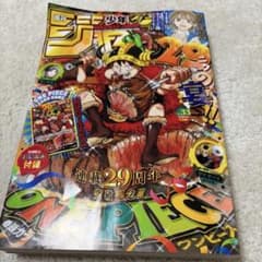 週刊少年ジャンプ ONE PIECE 連載29周年記念号 - メルカリ