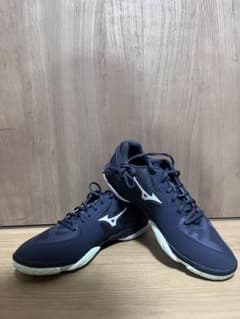 Mizuno バドミントンシューズ ネイビー　27cmのサムネイル