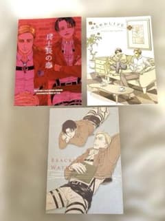 ☆96☆【スリーライツ&星うさ 4冊】セーラームーン 同人誌 星野光