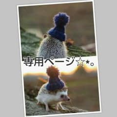 ▽ばばけん様 専用▽のサムネイル