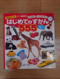 はじめてのずかん 555のサムネイル