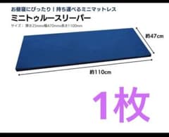 ミニトゥルースリーパー ごろ寝マット 新品・未使用 2枚セット - メルカリ