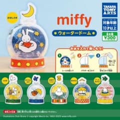 ミッフィー　ウォータードーム　プールあそびのサムネイル