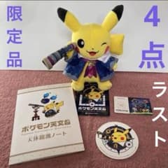 ポケモン天文台 ほしぞらピカチュウ ぬいぐるみ 限定 コースター
