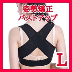 【超人気】バストアップ 姿勢矯正サポーター 猫背矯正 矯正 L 30102003のサムネイル