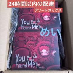 SKULLPANDA You Found Me スカルパンダ　アソート　ボックス スカルパンダ SKULLPANDA You Found Me! アソート POP MART 正規品保証