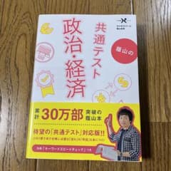 蔭山の共通テスト政治・経済のサムネイル