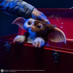 shoさん専用のサムネイル