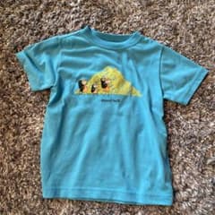 110 Tシャツ　mont-bellのサムネイル