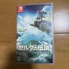닌텐도 switch 젤다의 전설 TEARS OF THE KINGDOM