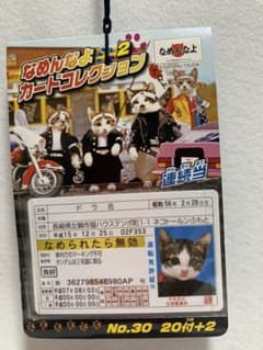 なめ猫　なめんなよ　カードコレクション　引きもの　引き物　くじのサムネイル