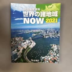 世界の諸地域 NOW 2021のサムネイル