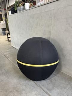 G*Y様 TECHNOGYM バランスボール ブラック2個セット TECHNOGYM バランスボール カバー付き ブラック - メルカリ