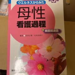 ウエルネスからみた 母性看護過程 第3版 +病態関連図のサムネイル