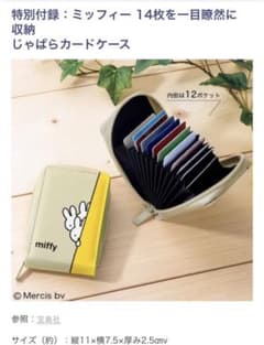 InRed 3月号付録 ミッフィーのサムネイル