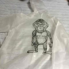 ザ・クロマニヨンズ  カッパのサムネイル