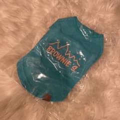 可愛いペット服　グリーンTシャツのサムネイル