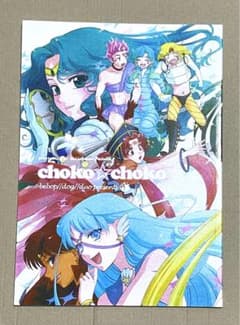 セーラームーン同人誌 星野光×月野うさぎ 星うさ セーラースターズ