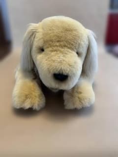 犬　ぬいぐるみ　特大 約90cm WARABE ゴールデン　ラブラドールのサムネイル