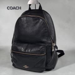 COACH コーチ リュック バックパック レザー シボ革 大容量 チャーリー
