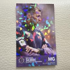 ルヴァン・カップ決勝　限定配布カードのサムネイル