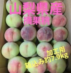 山梨県産 摘果桃 若桃 加工用 約7.9kg - メルカリ