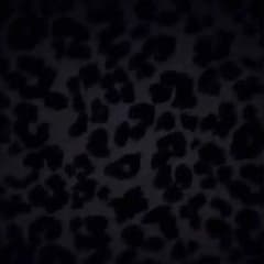 専用です★のサムネイル