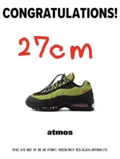 NIKE AIR MAX 95 BB x AYA BROWN 27cmのサムネイル
