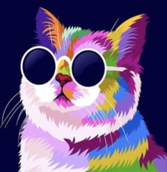 希少品種ゼラニウム 超珍しいゼラニウム レア品種ゼラニウムNMG02