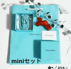 Tiffany空箱 巾着袋 ショップ袋 リボン カード ティファニーラッピング