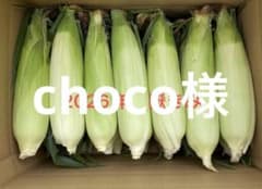 青森県産　嶽きみ　6本　2Lのサムネイル